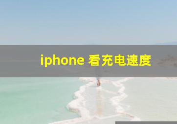 iphone 看充电速度